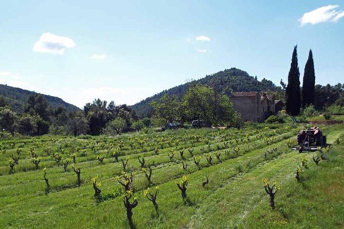 The Grape Escape! Cycling in Beautiful Scenery with Wine Tasting - Tarragona to Montsant: why this ride works