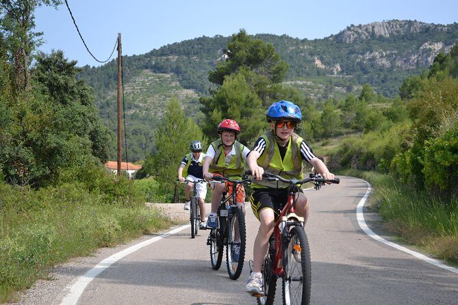 The Grape Escape! Cycling in Beautiful Scenery with Wine Tasting - Vineyard stop: touring a family vineyard and tasting wine