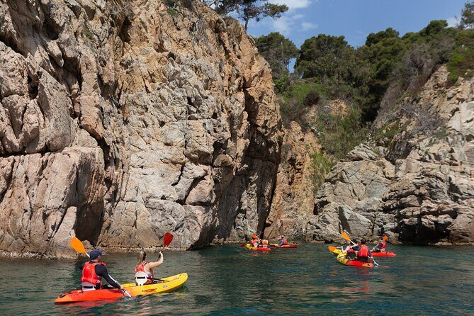 Tossa de Mar: Kayak & Snorkel Tour with Paella from Barcelona - Lunch with paella-style energy: 3 courses with a drink