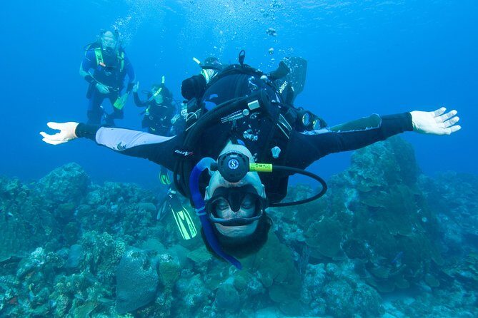 Tossa de Mar Scuba Diving PADI - What you’ll see underwater: fish and the occasional wow