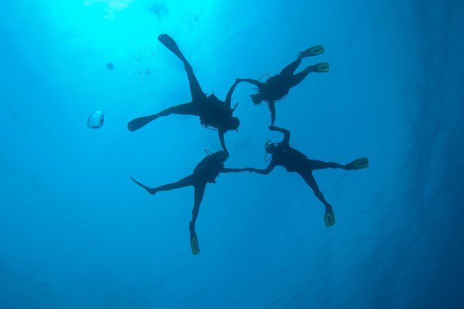 Tossa de Mar Scuba Diving PADI - Price and value: what $78.64 buys you in real terms