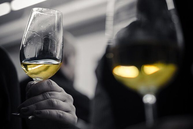 Wine Tasting Experience in Barcelona - Key Highlights You’ll Actually Care About