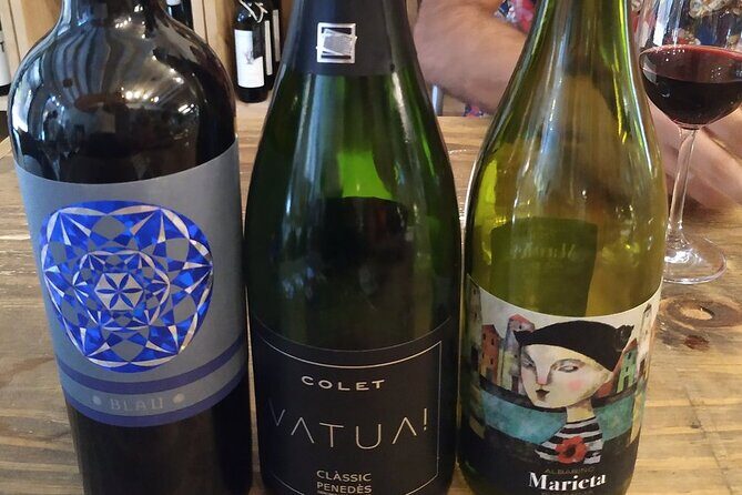 Wine Tasting Experience in Barcelona - The 90-Minute Flow: From Catalan Wine History to 5 Glasses