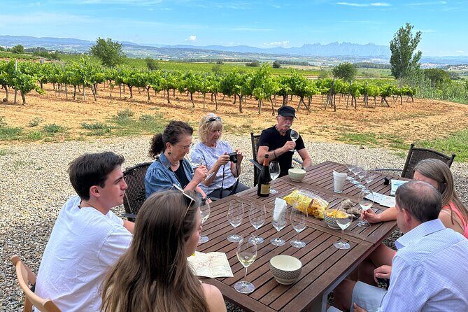 Wine Tasting in Three Boutique Wineries Tour - Max 8 people - Key points to know before you go