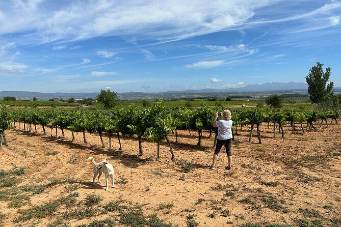 Wine Tasting in Three Boutique Wineries Tour - Max 8 people - Mas Comtal: family cava, underground cellars, and Montserrat as a backdrop