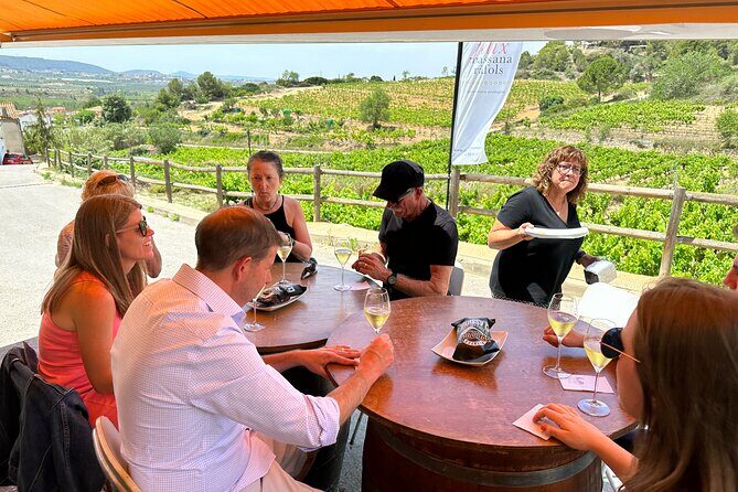 Wine Tasting in Three Boutique Wineries Tour - Max 8 people - What you actually taste, and why three wineries works better than one
