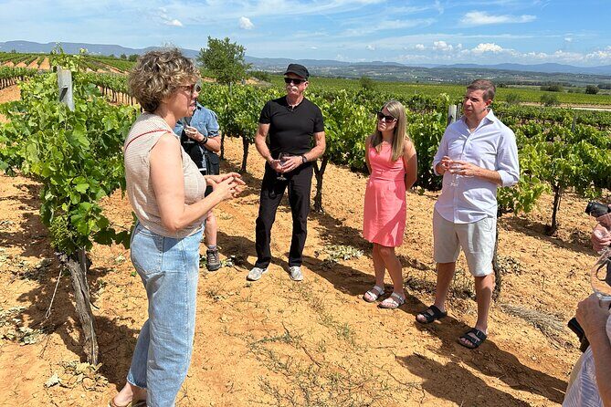 Wine Tasting in Three Boutique Wineries Tour - Max 8 people - Small group comfort: a day trip that doesn’t feel like a race
